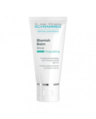Dr. med. Schrammek / Blemish Balm (40ml) - Classic / Honey / Light / Dark Brown