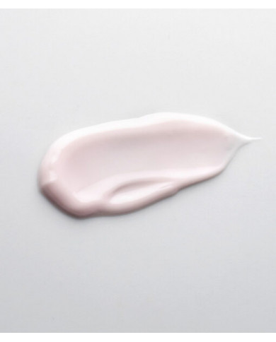 Schrammek MD / Ageless Future Day Cream