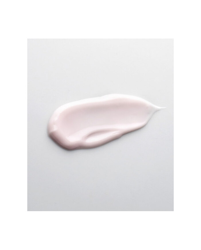 Dr. med. Schrammek / Ageless Future Day Cream