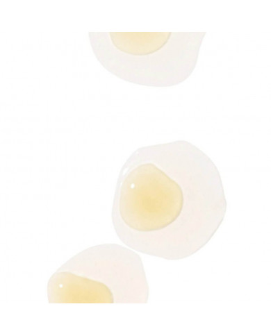 Dermalogica / Phyto Nature Firming Serum 40ml