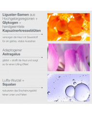 Dermalogica / Phyto Nature Oxygen Cream 50ml