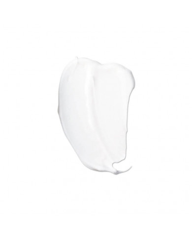 Dermalogica / Prisma Protect SPF30